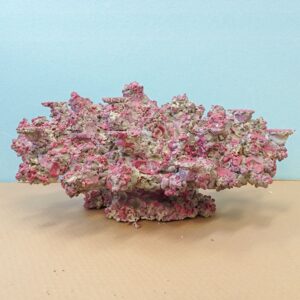Pink coral-like rock sculpture with a rough, crusty surface on a tan table against a blue wall, decorative piece.