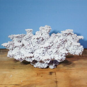Irregular white foam-like sculpture on a wooden table against a blue wall.