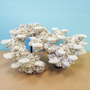 White coral-like sculpture forming two connected arches, mounted on small black bases on a tan table against a light blue wall.