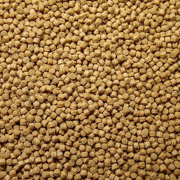 スーパーボイル Mサイズ（1.5～1.7mm) 50g !【エサ】海水魚飼料 (t154