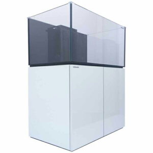 White storage cabinet supporting a tinted glass aquarium on top.