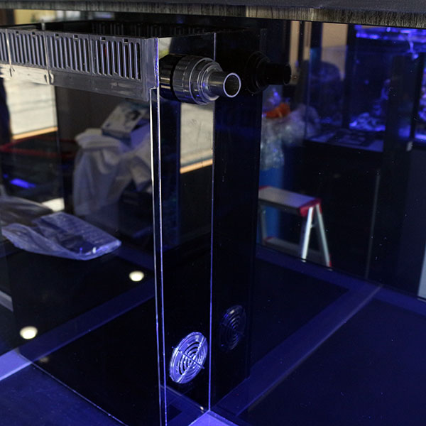 【全国配送対応】オーバーフロー水槽 120(横）×55（奥）×55（高）cm!【オーバーフロー水槽】 ネプチューンキューブM120t183