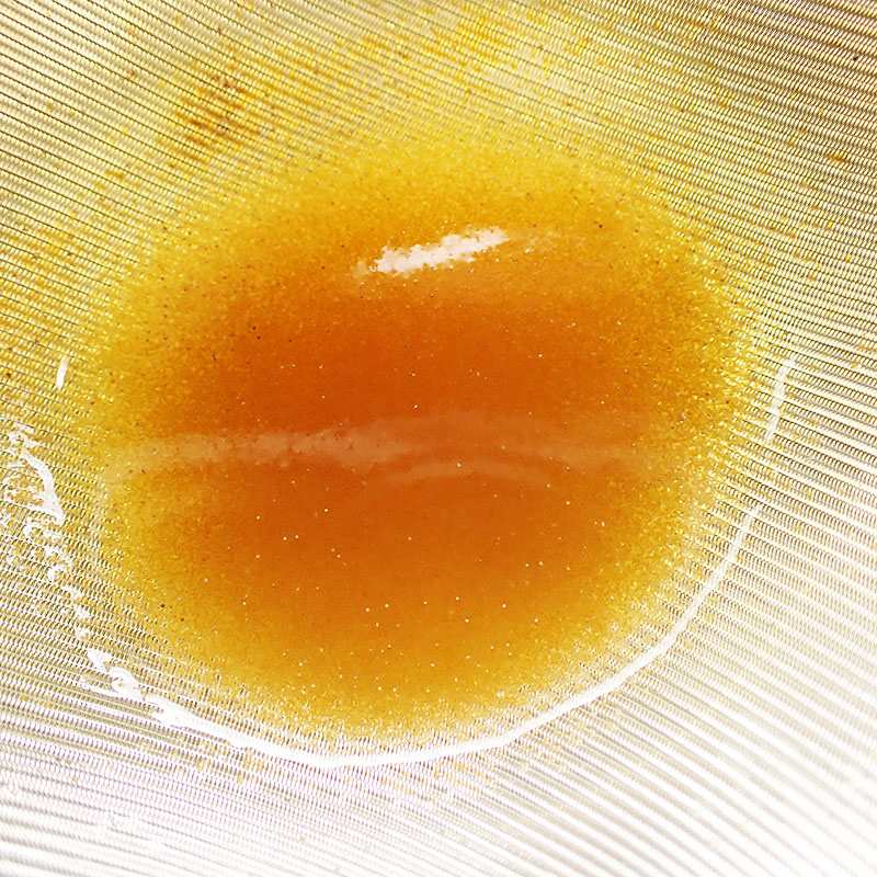 活ブラインシュリンプ500ml【微生物/餌/水槽/】