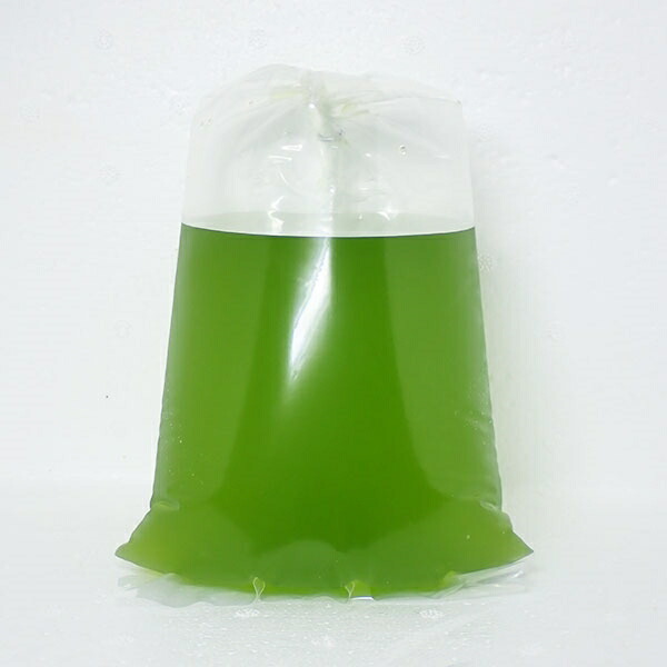 海産生クロレラ(ナンノクロロプシス)1000ml!【微生物/餌/水槽/添加剤】(t151