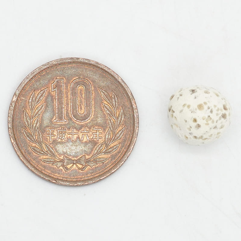 アクアギフト推奨濾過材 バイオボールプロ 1L! ろ過材・フィルター 観賞魚用濾過材(t194