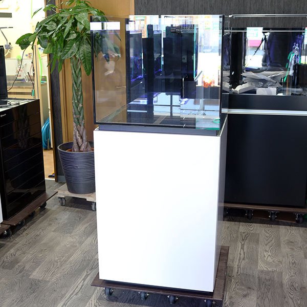 【全国配送対応】オーバーフロー水槽 60(横）×55（奥）×50（高）cm!ブラックorホワイト【オーバーフロー水槽】 アクアギフトオリジナル ネプチューンキューブt183