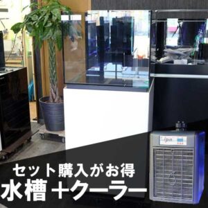 【全国配送対応】オーバーフロー水槽 S60 + クーラーセット 60(横）×55（奥）×50（高）cm!【オーバーフロー水槽】 アクアギフトオリジナル ネプチューンキューブ