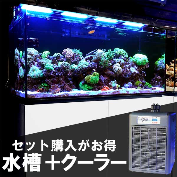 【全国配送対応】オーバーフロー水槽 120(横）×55（奥）×55（高）cm+クーラーセット!【オーバーフロー水槽】 ネプチューンキューブM120